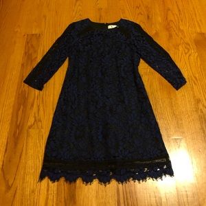 Eliza J Blue Lace Cocktail Dress